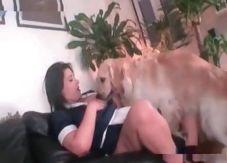 Young chick gets pounded from behind by a hound