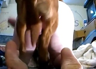 Kinky dog is jizzing right inside of a tight and moist cunt
