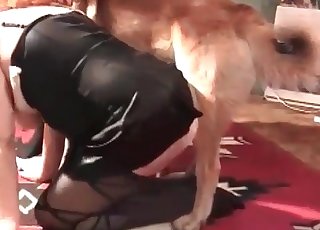 Sweet puppy and a busty hottie have good fuck