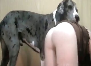 Trained dog licks her wide-opened tight vagina