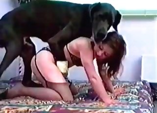 Amazing black doggy is pounding a tight crack