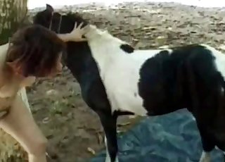 Tiny pony having a rough fuck during animal sex session
