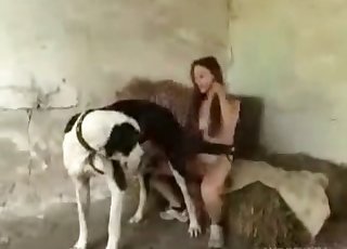 Large canine is having sex with a hot slim zoophile