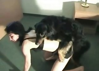 This horny doggo is totally dominating a brunette