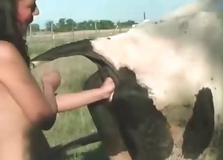 Cow ass got nicely fucked by a long hand