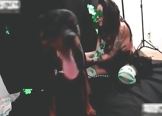 Doggy got pleased by a sexy zoophile hooker
