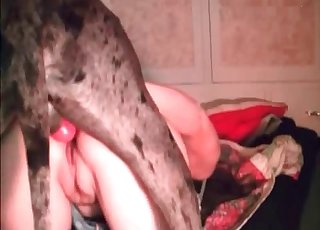 Bestiality fucking is caught live in this great XXX video