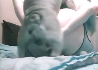 Girl with a fat ass having a really passionate enjoyment