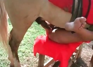Filthy bestiality sucks off the large cock of a horny horse