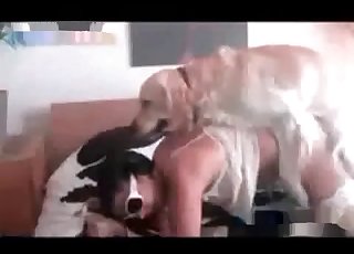 Rough sex session for hound and a slutty chick