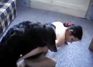 Tiny black puppy is having a passionate sex session