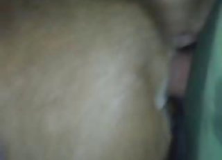 Sweet bestiality sex action with a passionate animal
