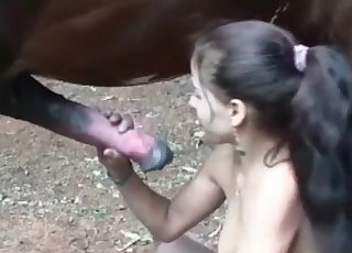 Sexy horse is getting sucked by a good brunette