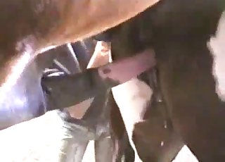 We are seeing a really good looking cow at this lovely farm