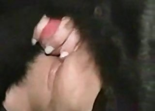 Large dick of a hound is banging a total whore