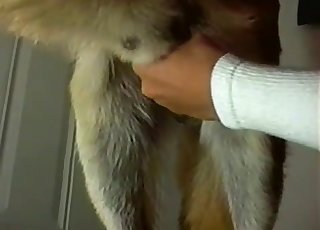 The hairy penis of a pet receives a lovely handjob