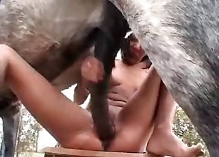Sexy pet got nicely fucked by a crazy lover