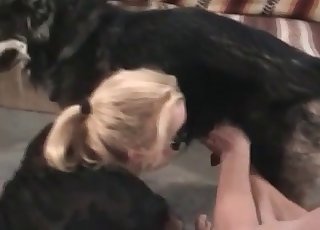This slut has a mask on and she blows a doggie cock