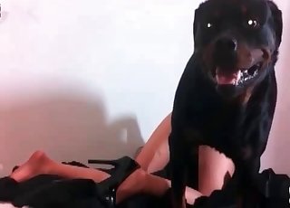Brutal dog adores hardcore zoo sex