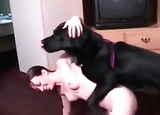 Sex with a dark-hued doggy in the bedroom