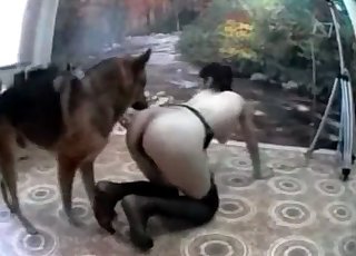 Instructed German mutt is giving a pussy eating