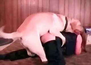 शानदार ओरल जॉब सेक्स और सुंदर दिखने वाला पिछला हिस्सा