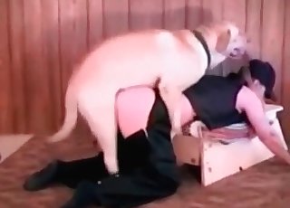 शानदार ओरल जॉब सेक्स और सुंदर दिखने वाला पिछला हिस्सा