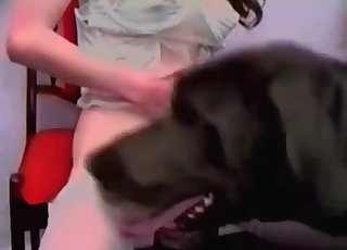 Bitch is getting screwed by a mutt