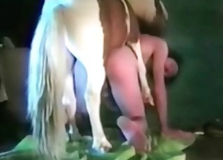 Dog is having an awesome sex at the farm