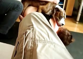 Cruel sex of a mutt and nice woman