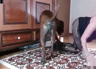 Humid puss is getting licked by a dirty doggy