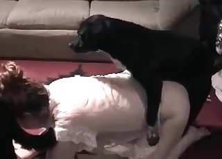 Doggy's wiener is being sucked on the camera