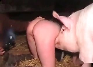 Filthy farm animal and sloppy whore