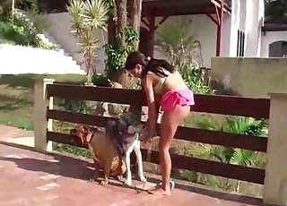Juicy and jiggly pussy slurped by two dogs