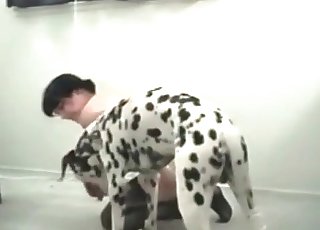 Greatest amateur bestiality with a sweet Dalmatian