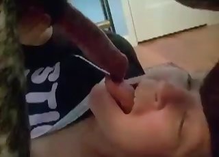 Cock-sucking action in the zoophilia style