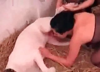 Dog orgy action with a sweet cutie