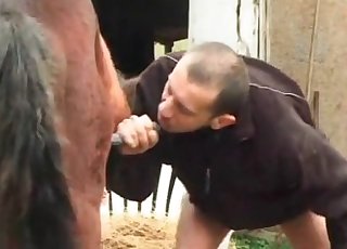 Masculine zoophile is smelling farm animal's butthole