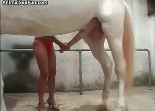 Skillful female masturbates a stallion sausage