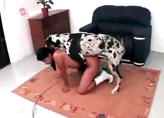 प्यारा कुत्ता सच में बहुत हुनरमंद है