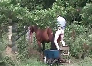 Gorgeous farm bestiality with a horse