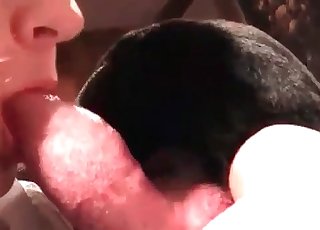 Doggy is having an astounding oral action
