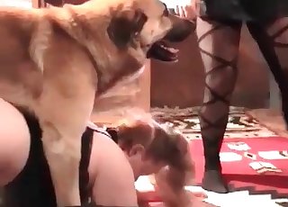 Super-hot vaginal sex with a trained animal and zoophile