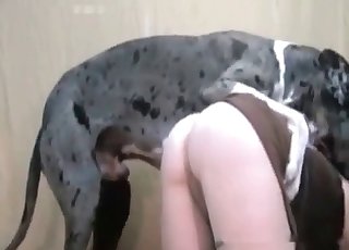 Booty is getting tongued by a trained animal
