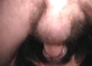 Asshole of a mutt is getting penetrated rigid