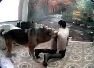 Самая непослушная собака и худой стройный зоофил