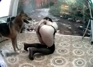 Najnezbednejší pes a chudý štíhly zoofil