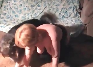 Chó thích chủ béo và quan hệ tình dục với động vật