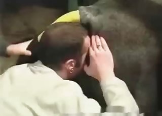 Asshole of a horse licked by a male