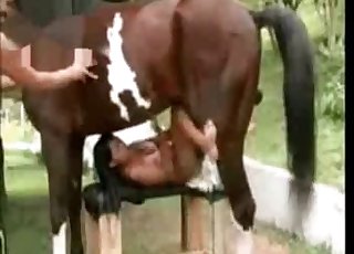 Sexy bestiality porn compilation with horses
